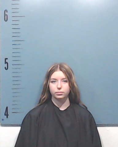 Wells, Aubrey Nicole booking photo