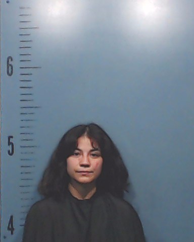 Castillo, Celestina Simone booking photo