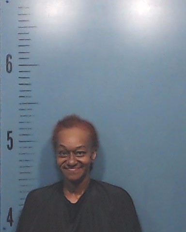 Webber, Nikka booking photo