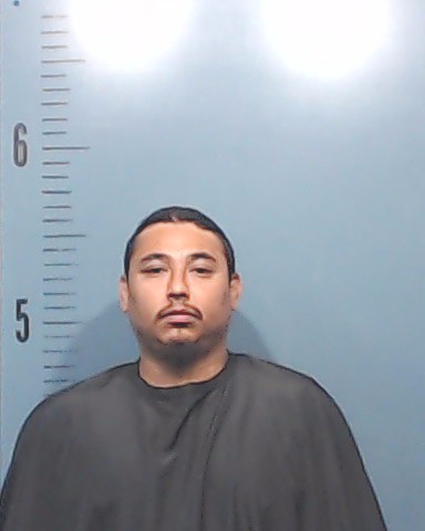 Gonzales, Roland Arthur booking photo