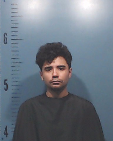 Nguyen, Thomas, Jr. booking photo