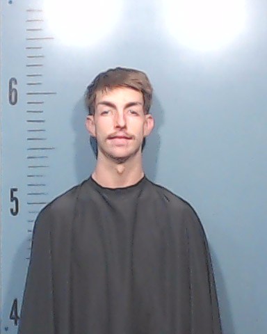 Peeples, David Allen booking photo