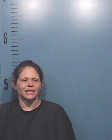 Fernandez, Elicia Leeann booking photo