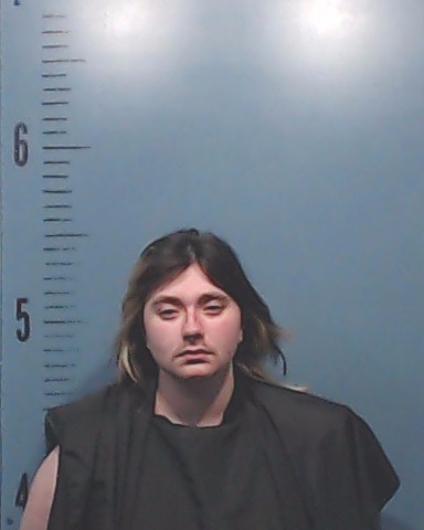 Votruba, Robin Steffanie arrested by Taylor County SO/PD