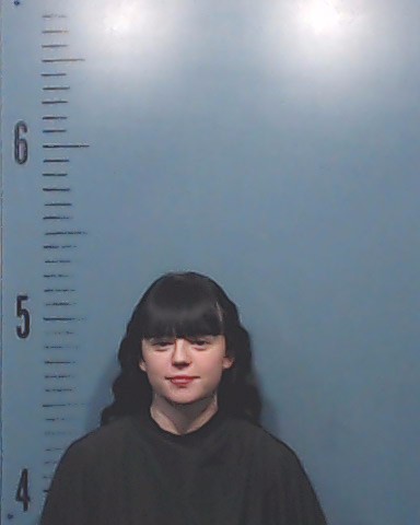 Damian, Unique Alize arrested by Taylor County SO/PD