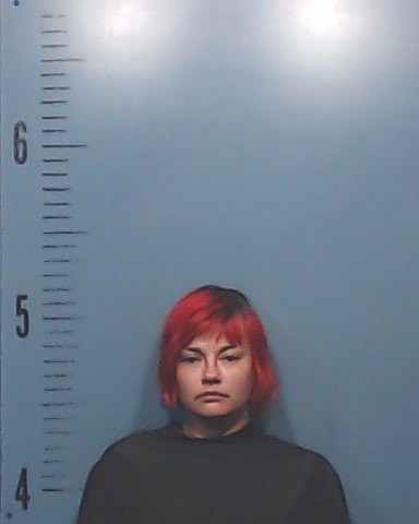 Porter, Lakrisna Renee arrested by Taylor County SO/PD
