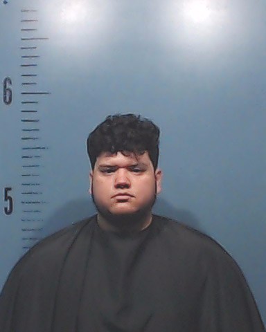 Arias-Vera, Eduardo Jose booking photo