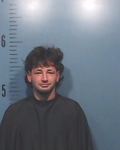 Castillo-Hernandez, Danery booking photo