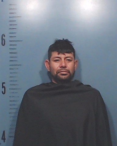 Recendiz-Gonzalez, Jorge Luis booking photo