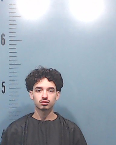 Jones, Marion Leviticus booking photo