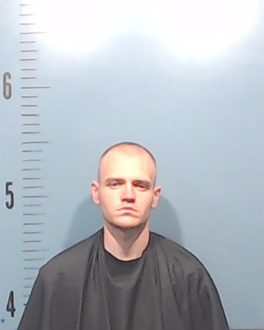 Watson, Alan Lee arrested by Taylor County SO/PD