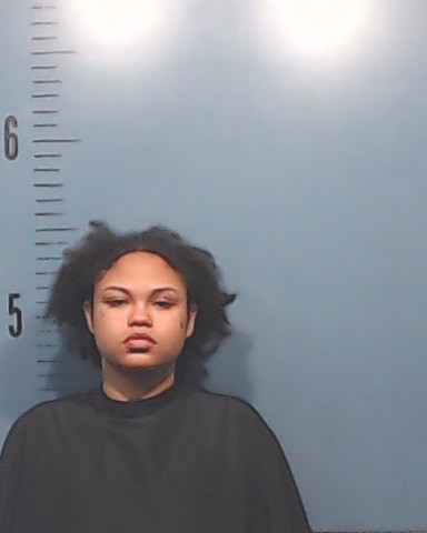 Pinder, Tessa Deann arrested by Taylor County SO/PD