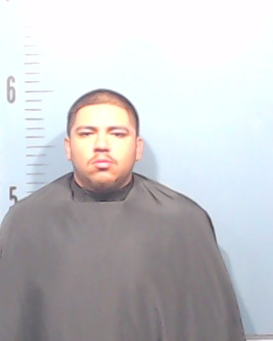 Rojas Camacho, Luis David booking photo