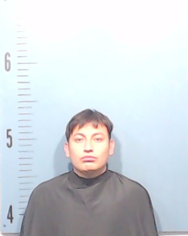 Luna Moctezuma, Roberto booking photo