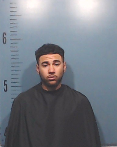 McGowan, Amante Dantay booking photo
