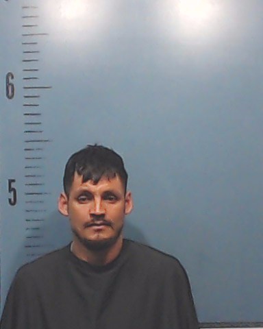 Mejia-Ponce, Ludin Ared booking photo
