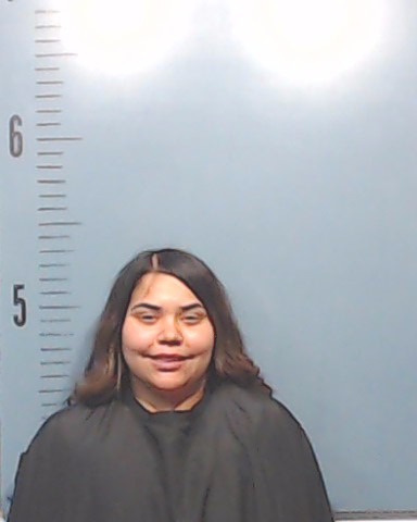 Martinez, Delanee Michelle booking photo