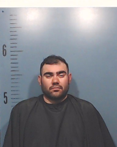 Gonzalez, Justin Lee booking photo