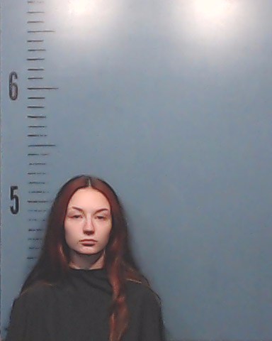 Gilliam, Kristina Whitney booking photo