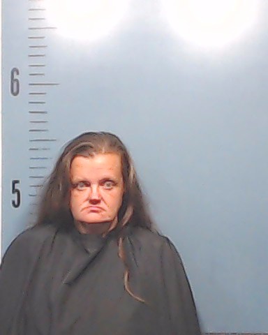 Brown, Rebecca Jean arrested by Taylor County SO/PD