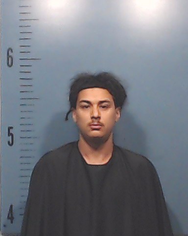 Dorsey-Hicks, Michael Andrew arrested by Taylor County SO/PD