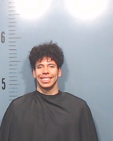 Hawkins, Batzalyah booking photo