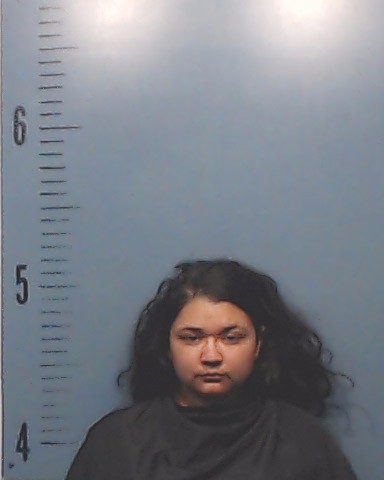 Hernandez, Nadia Anastacia arrested by Taylor County SO/PD