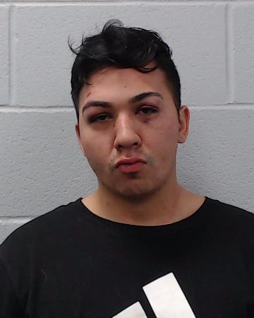 Halterman-Molina, Bernard Andrew booking photo