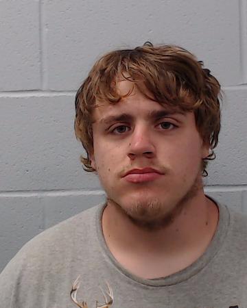 Skipper, Anakin Lee booking photo