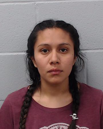 Ledezma, Carolina booking photo