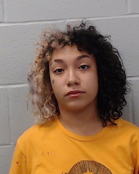 Salerno, Monica booking photo