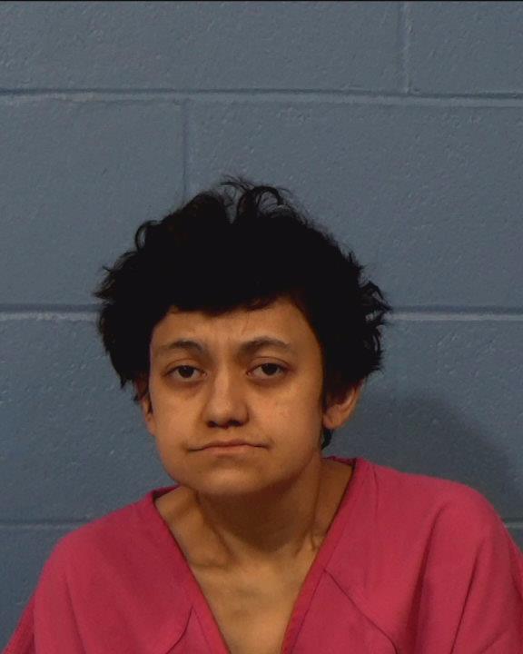 Ortiz, Brandy Nicole booking photo