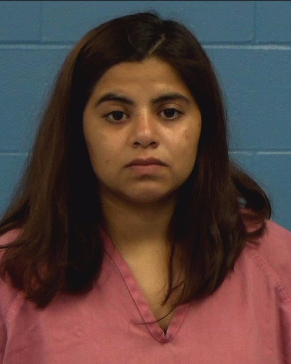 Herrera Ochoa, Marisol booking photo