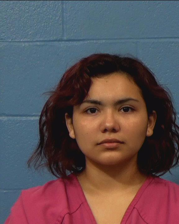 Ventura, Liliam Julissa booking photo