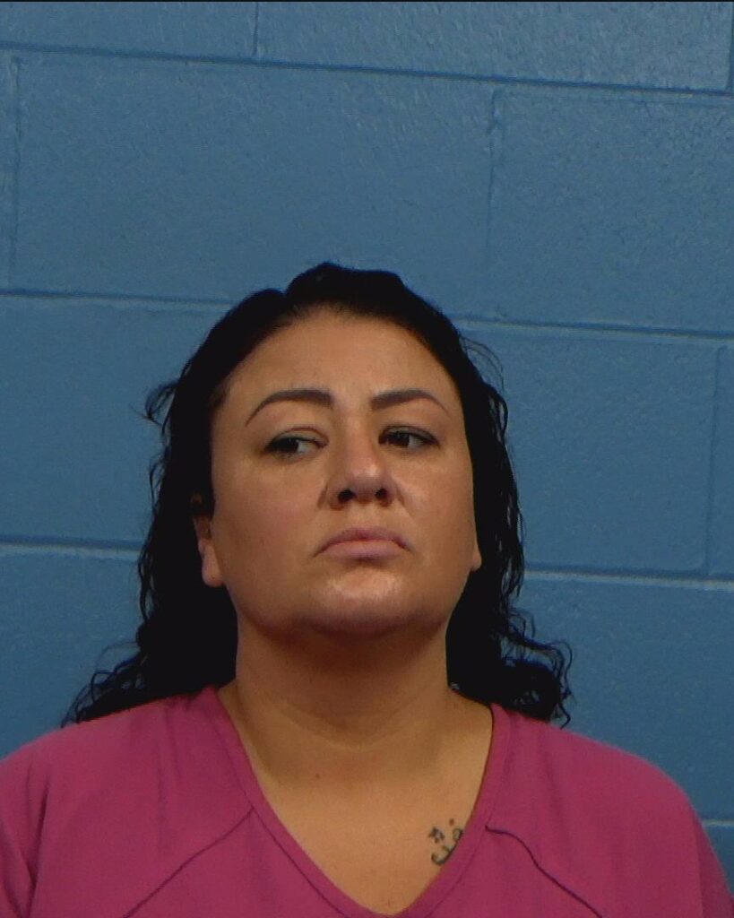 Wilson, Sarah Renee arrested in Williamson County, Texas mugshot