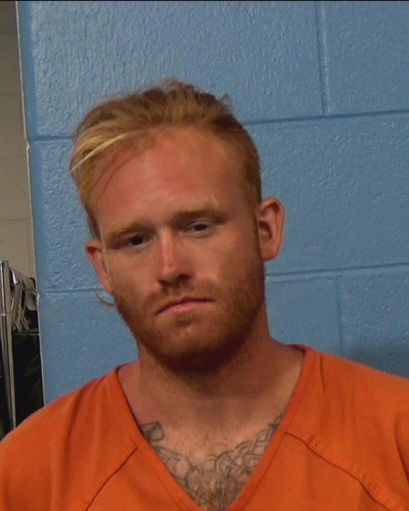Brice, Joseph David arrested in Williamson County, Texas mugshot