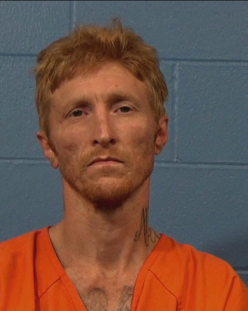 Silvernale, George Davenport arrested in Williamson County, Texas mugshot