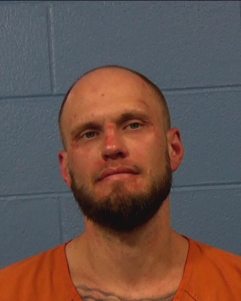 Bogdanovich, Artom arrested in Williamson County, Texas mugshot