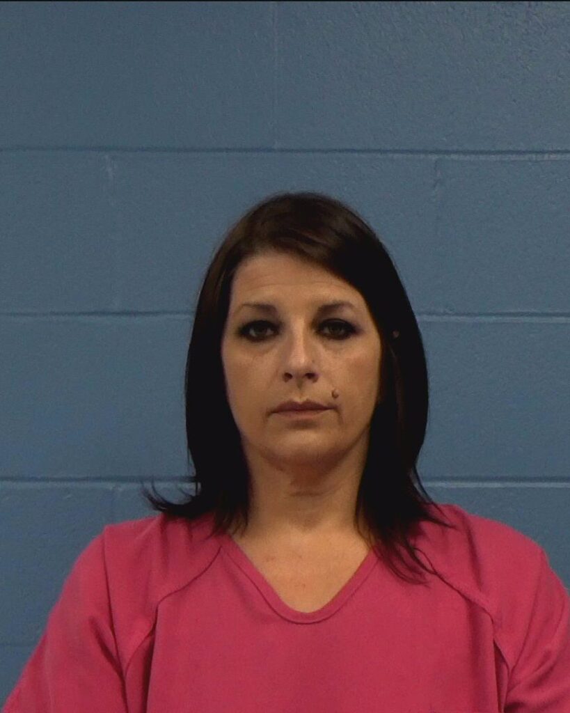 White, Tammy Elaine arrest record in Williamson County, Texas White, Tammy Elaine arrested in Williamson County, Texas mugshot