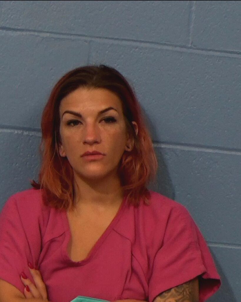 Petner, Lindsy J arrested in Williamson County, Texas mugshot