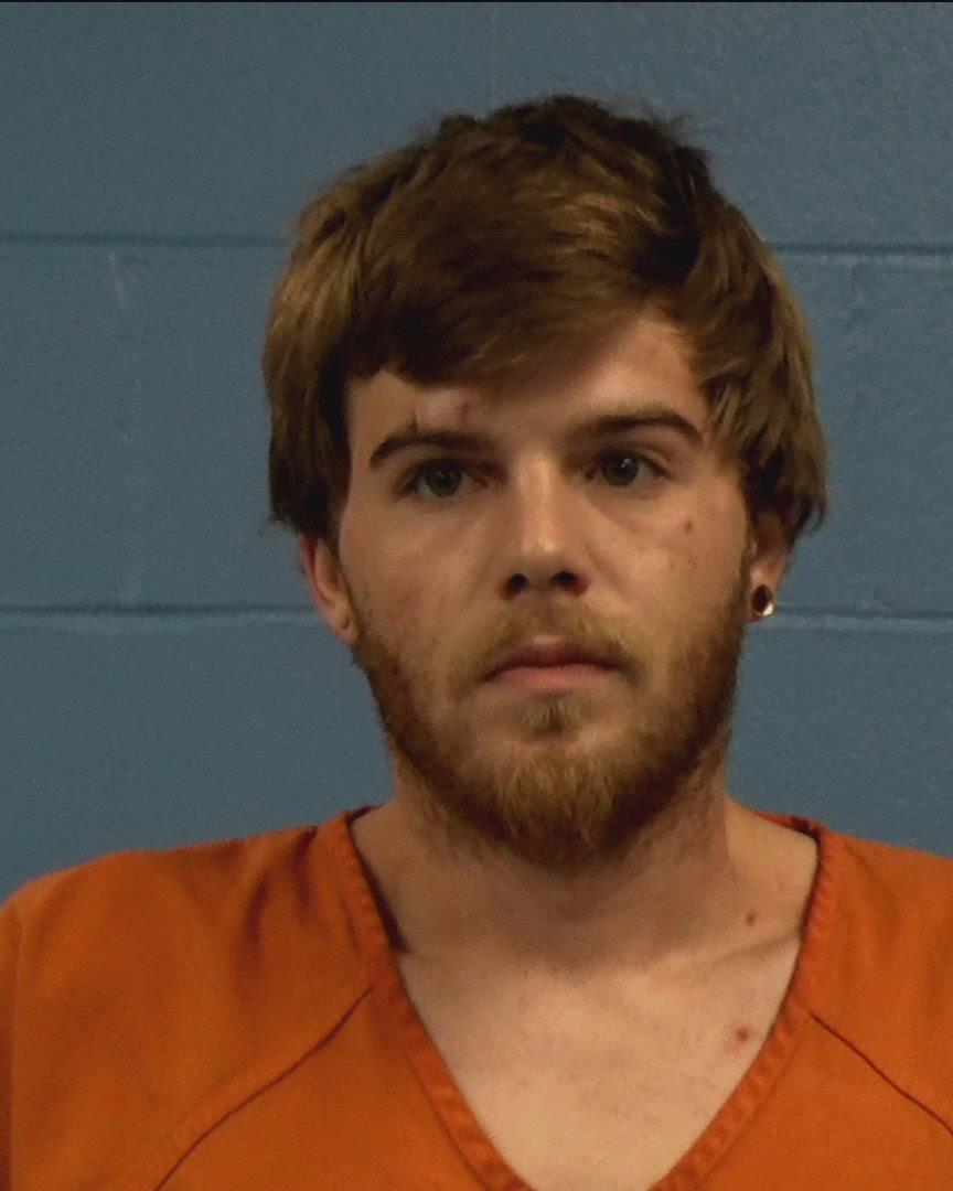 Breedlove, Travis Mitchell booking photo