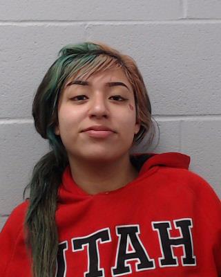 Guillen, Erica Marie booking photo