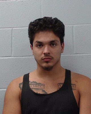 Will, Timothy Ansel booking photo