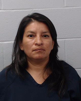 Sandoval Hernandez, Sylvia Yolanda booking photo