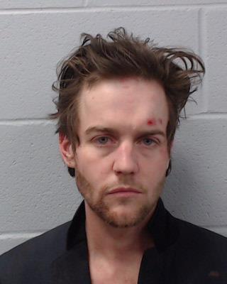 Swan, Nicholas David booking photo