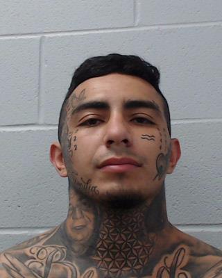 Rizk, David Jordan booking photo