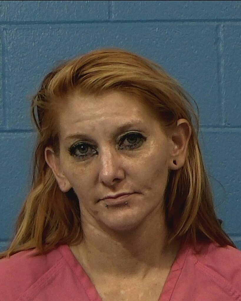 Lundberg, Michelle Lee arrested in Williamson County, Texas mugshot