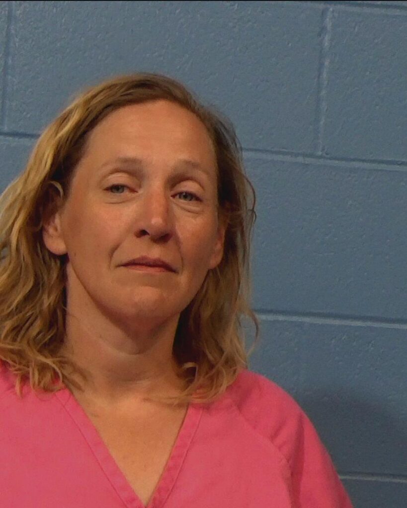 Lee, Amy Marie arrested in Williamson County, Texas mugshot