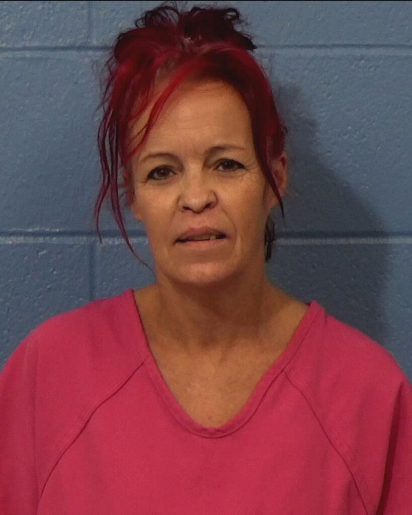 Moncebaiz, Melony Dawn arrested in Williamson County, Texas mugshot