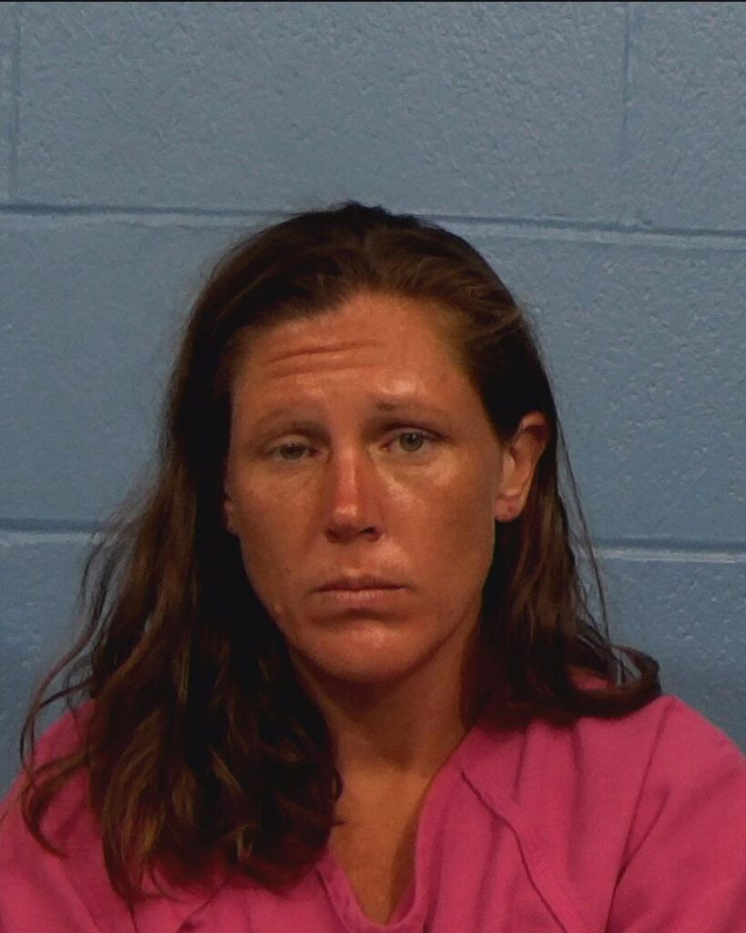 Chambers, Justine Nicole arrested in Williamson County, Texas mugshot